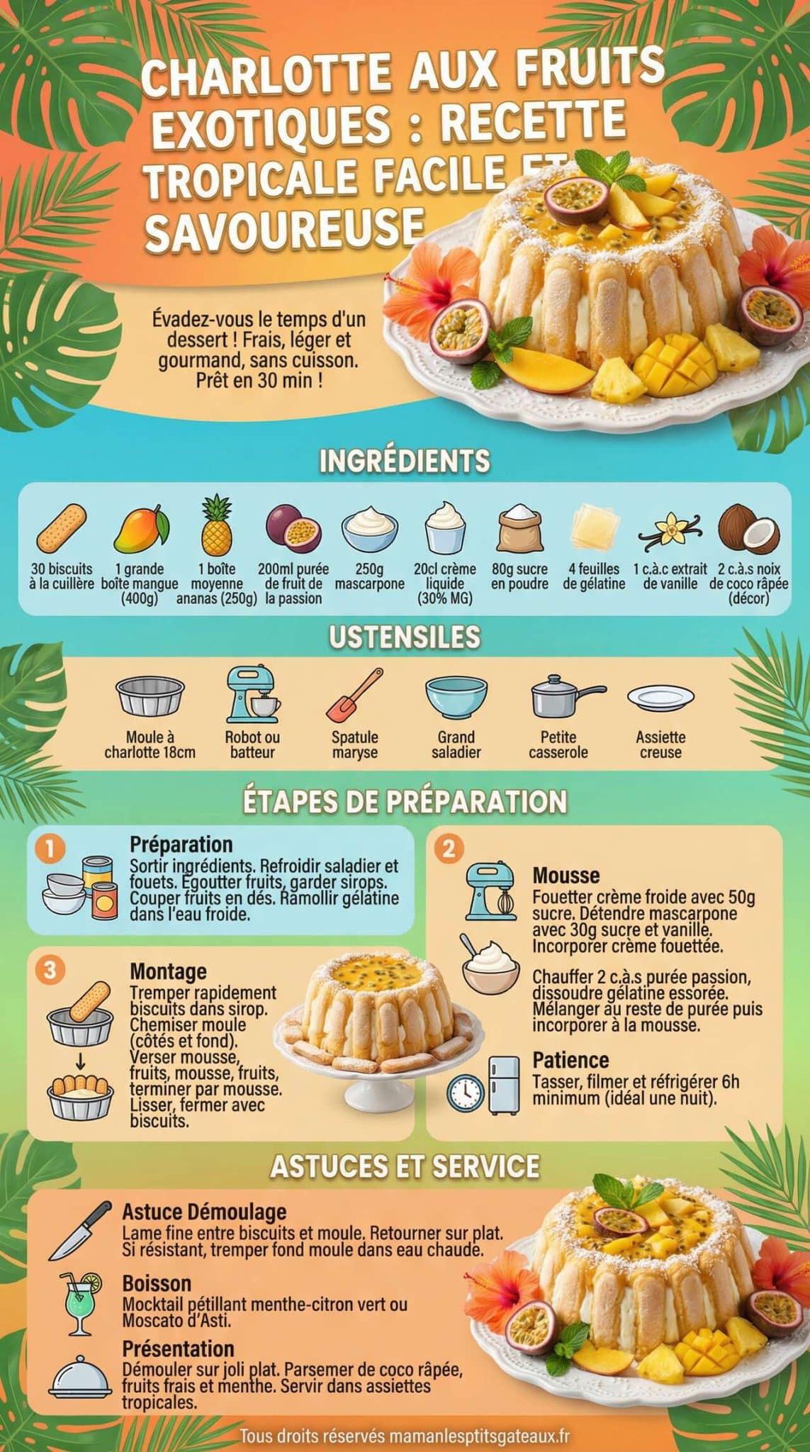 Fiche recette Charlotte aux fruits exotiques : recette tropicale facile et savoureuse