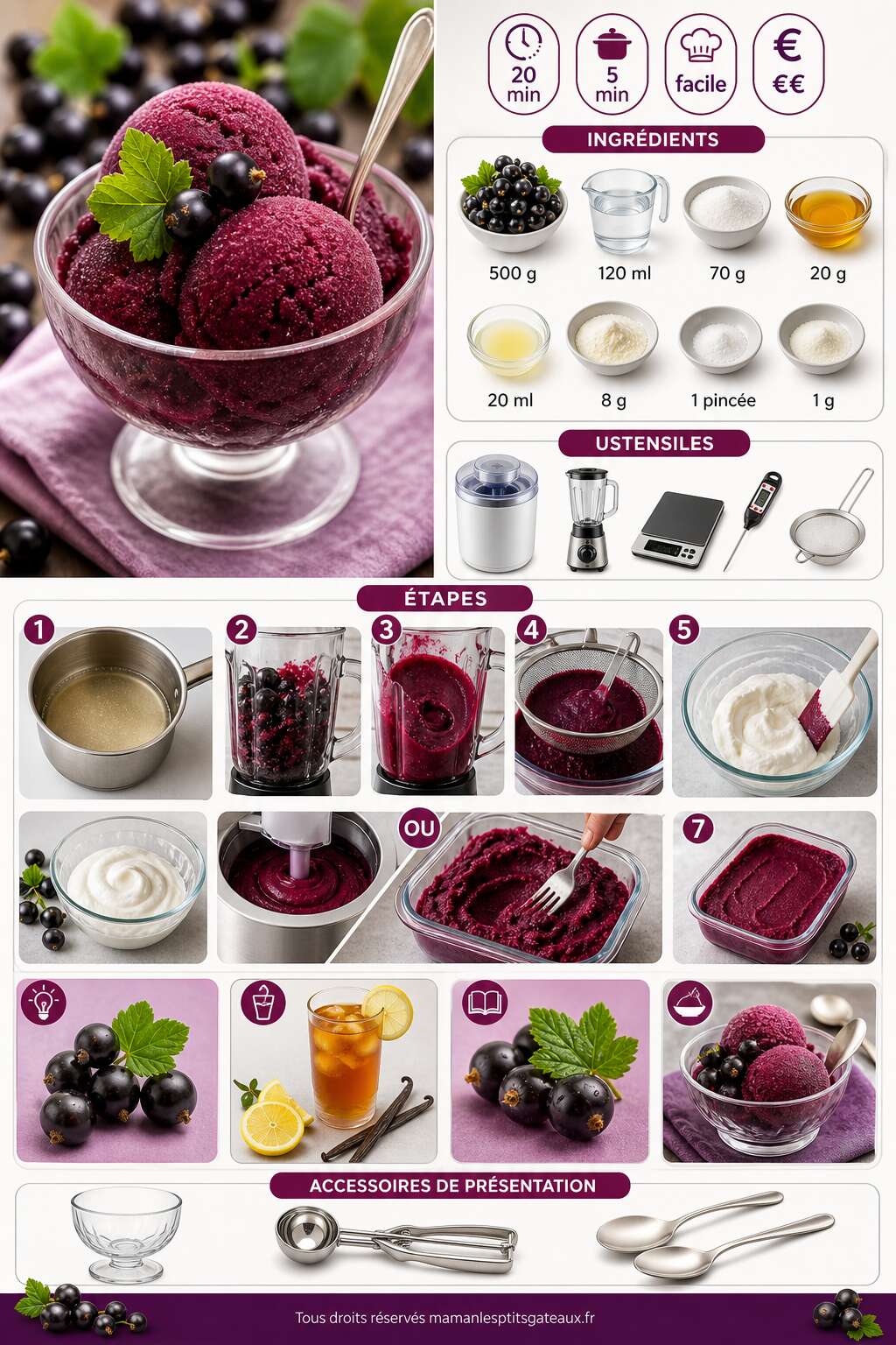 Fiche recette Sorbet au cassis all&eacute;g&eacute; : recette facile et rafra&icirc;chissante
