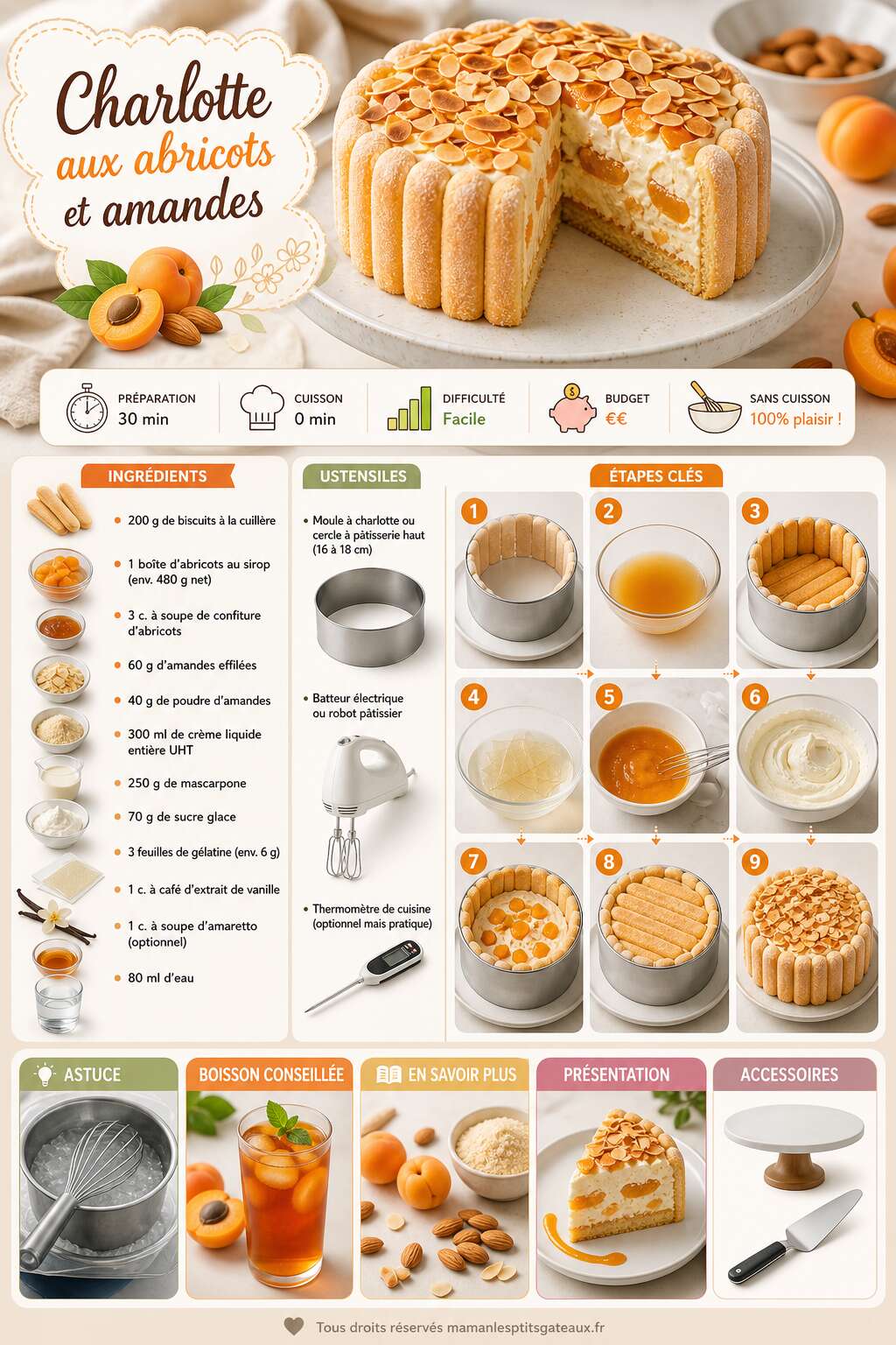 Fiche recette Charlotte aux abricots et amandes : recette facile et savoureuse Fiche recette Charlotte aux abricots et amandes : recette facile et savoureuse